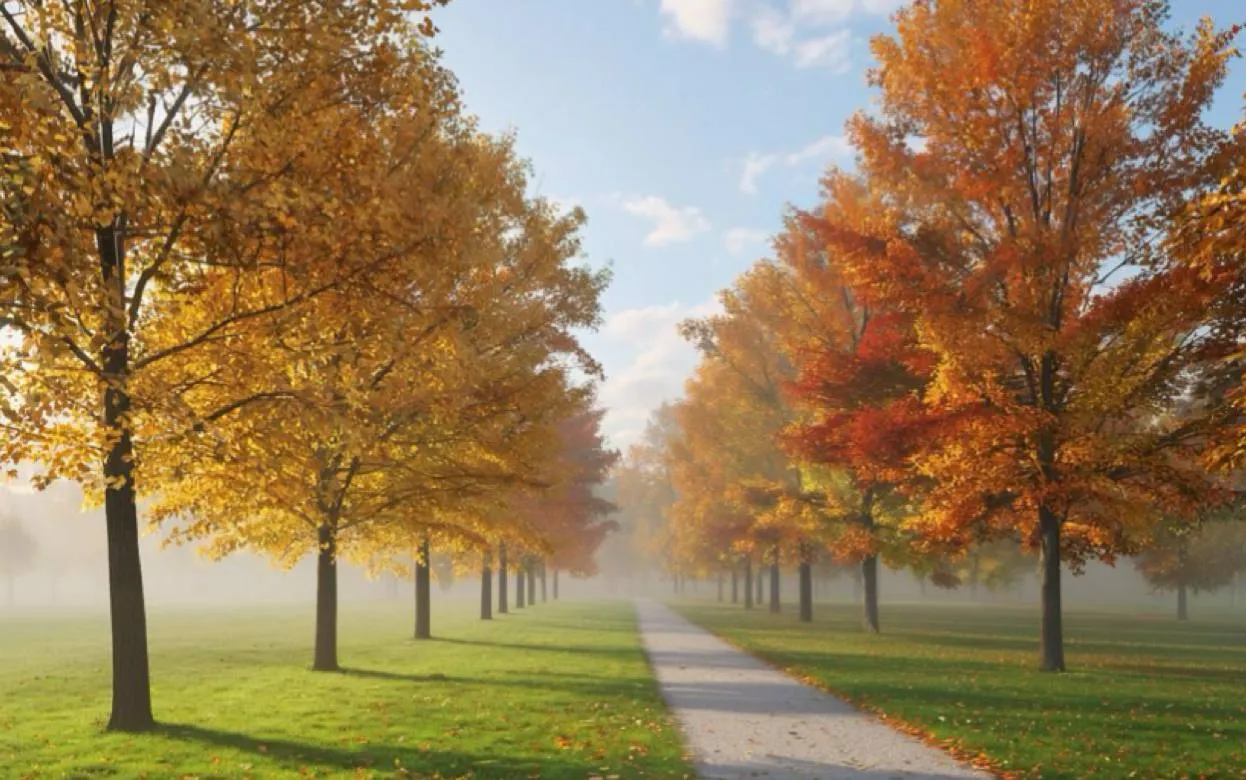 Гороскоп по дате рождения на день – 22 октября: Весам стоит уделить внимание деталям, а Скорпионам – не бояться перемен