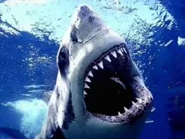 consilience.typepad.com