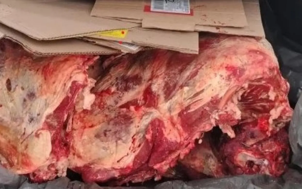 350 кг подозрительной говядины отправили на сожжение в Удмуртии