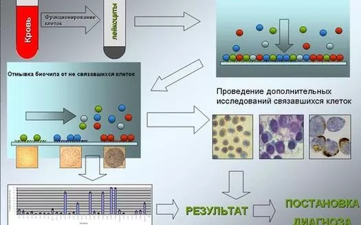 Ижевские ученые разработали приборы для поиска сосудов и тест-системы для исследования клеток крови