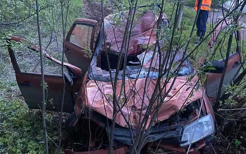 Водитель и пассажир сбившей лося «Гранты» пострадали в Удмуртии