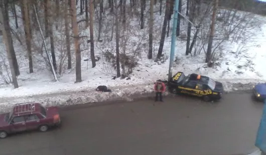 Елена Вологдина