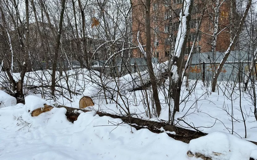 Есть вопрос: у стадиона «Зенит» в Ижевске вырубят деревья?