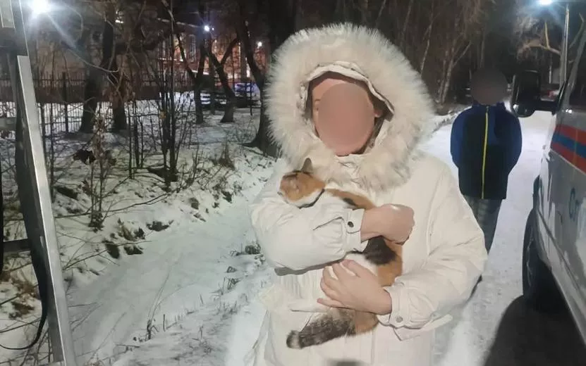 Застрявшего на дереве кота спасли в Удмуртии