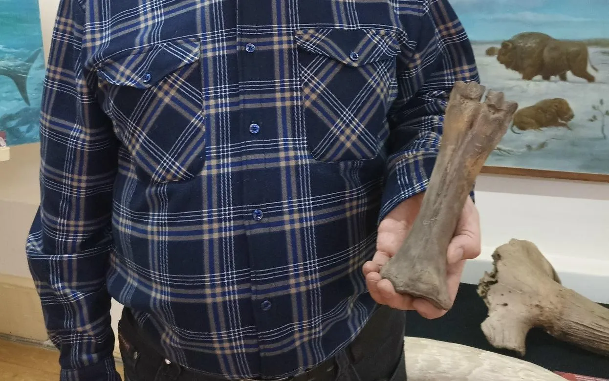 Житель Удмуртии нашел на своей даче кость бизона из позднего палеолита