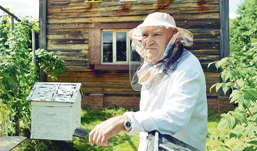 Кассетный павильон для содержания пчёл «Берендей-2» на 32 пчелосемьи