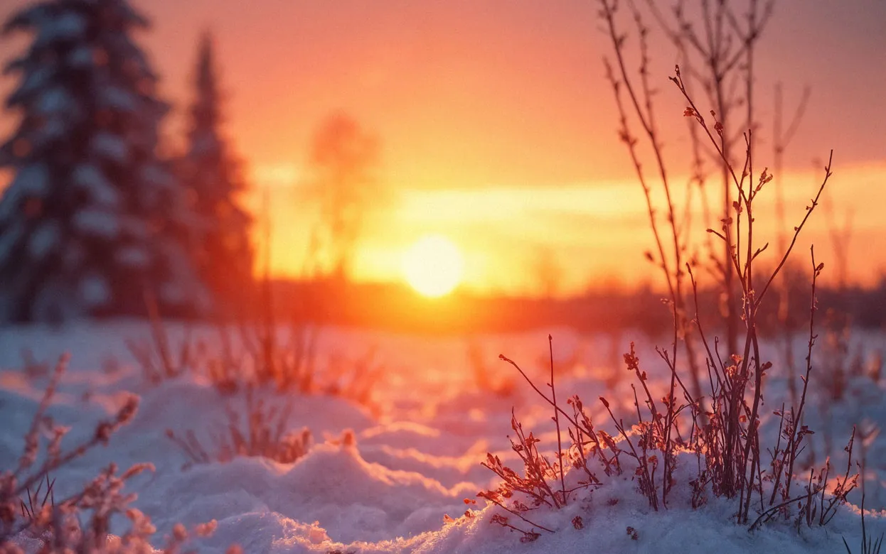 Самая длинная ночь в году: 21 декабря отмечают зимнее солнцестояние