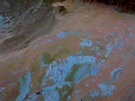 Константина Козлова, читателя газеты "Центр"