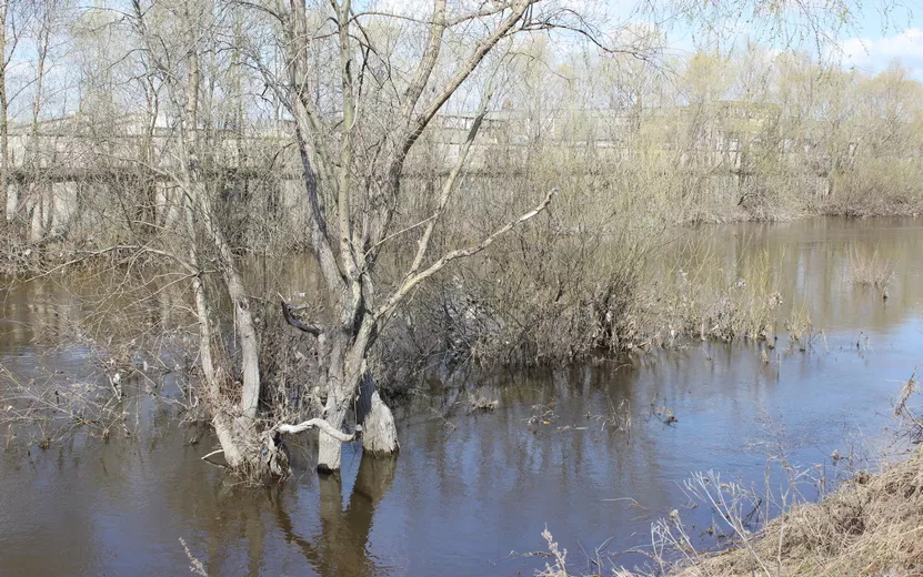 Уровень воды в реках Удмуртии пошел на спад