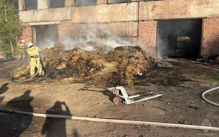 Производственный корпус загорелся в Удмуртии