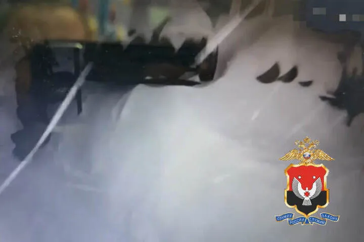 Подозреваемых в краже автомобильных колес из шиномонтажа задержали в Ижевске