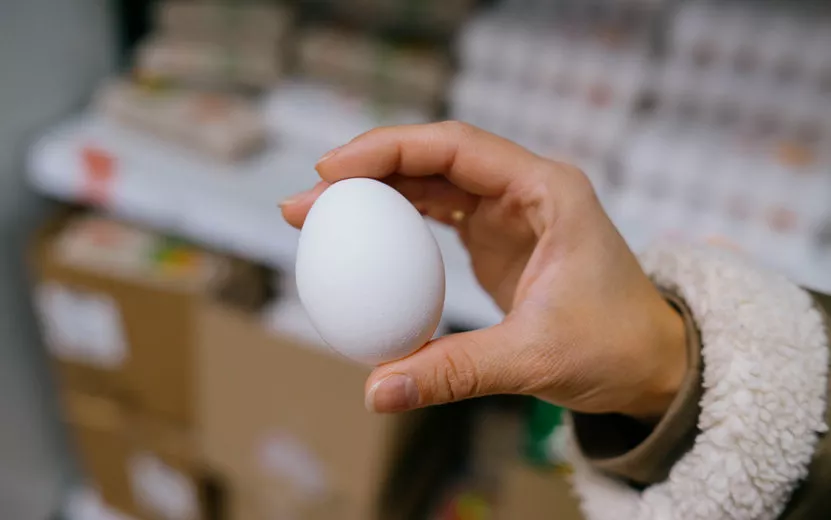 Яйца с антибиотиком из Удмуртии поставили в детский сад