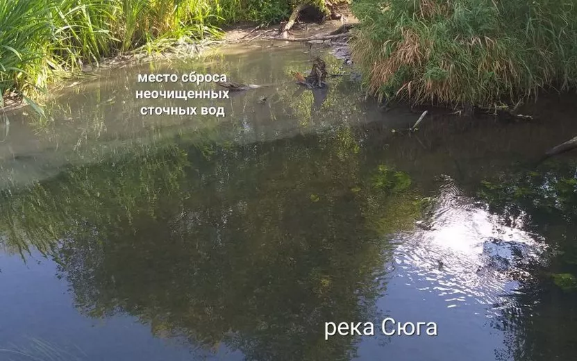 Муниципальное предприятие оштрафовали на 1 млн руб. за загрязнение рек в Удмуртии