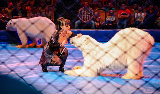 архив редакции