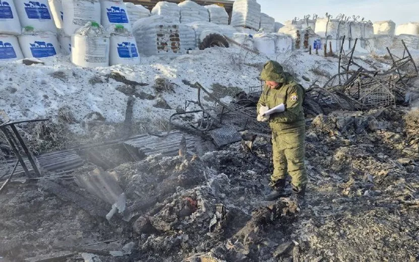 Двух жителей Удмуртии задержали после пожара с шестью погибшими в Татарстане