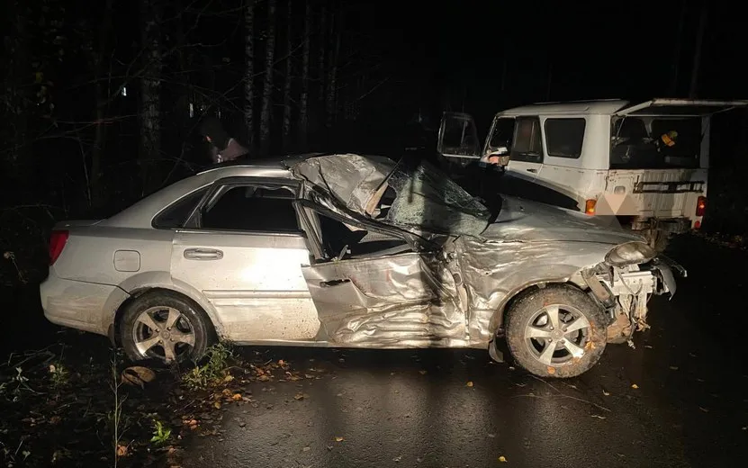Два пассажира врезавшегося в дерево авто пострадали под Ижевском