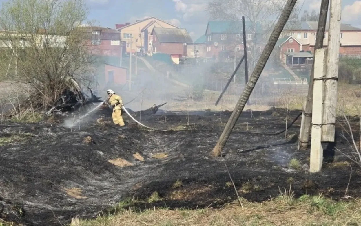 С начала пожароопасного сезона в Удмуртии произошло более 40 ландшафтных пожаров