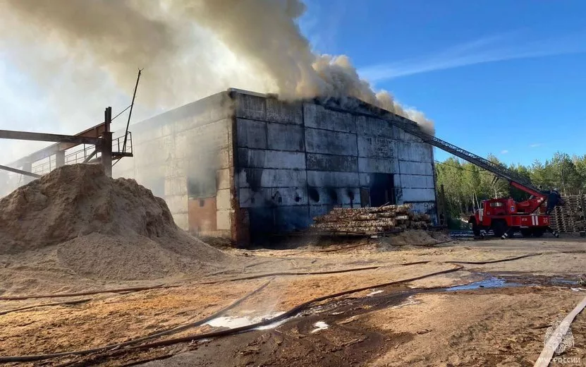 Пилорама загорелась в Можге