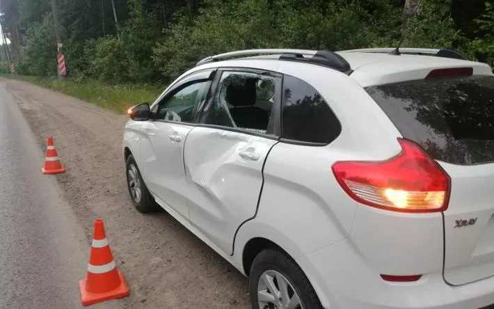 Девочка пострадала в ДТП с лосем на окраине Ижевска
