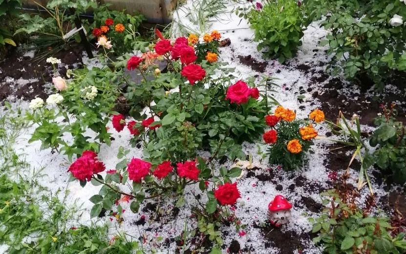 Некоторые районы Ижевска пострадали от града - Погода в Ижевске ...
