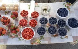 От жимолости до малосольных огурцов: какие сезонные продукты продают на стихийных рынках Ижевска