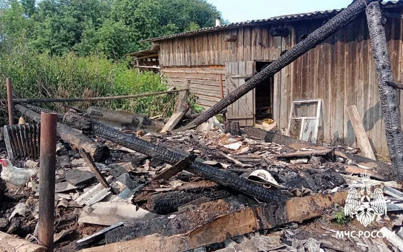 Сарай сгорел в Удмуртии из-за оставленной золы