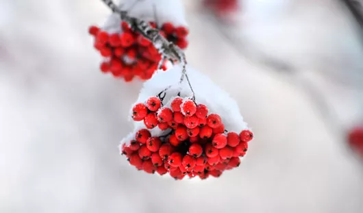 архив редакции