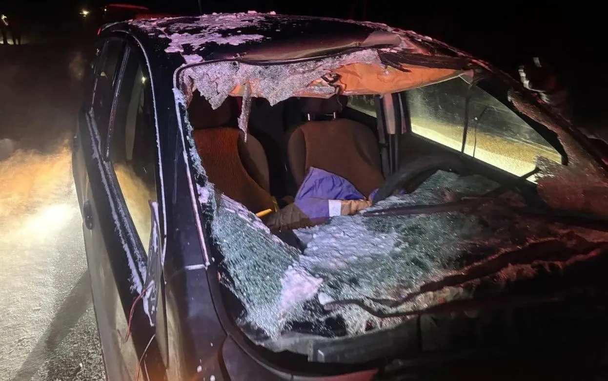 Водитель «Ниссана» сбил лося на дороге в Удмуртии