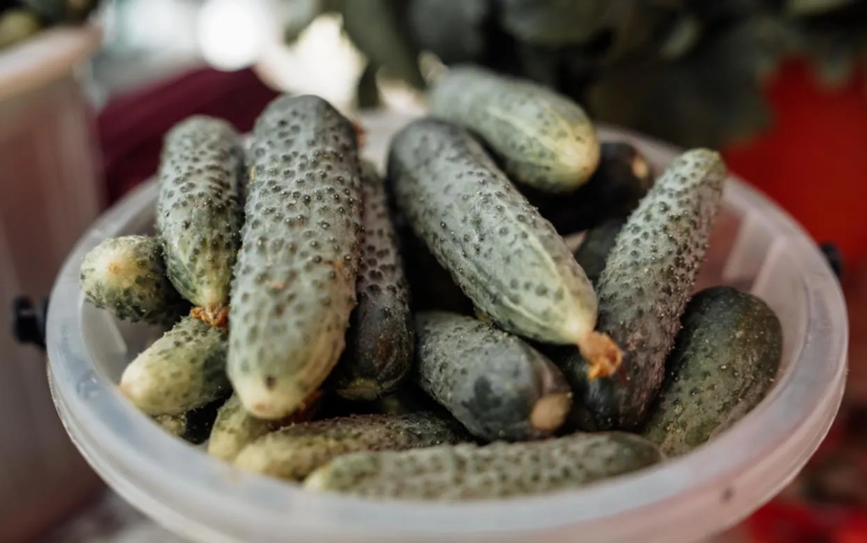 Огурцы, молоко и бензин подорожали в Удмуртии