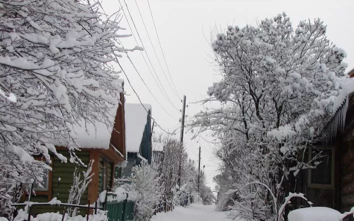 Погода в Ижевске на день: 15 января облачно с прояснениями и -11 °С