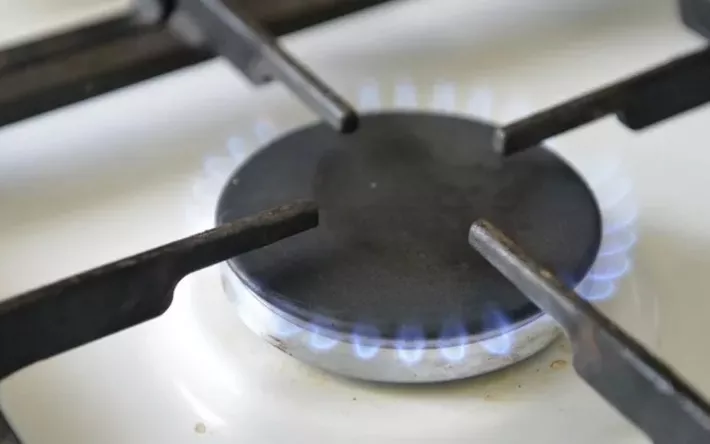 Более 1500 жителей Удмуртии смогут получить поддержку по газификации