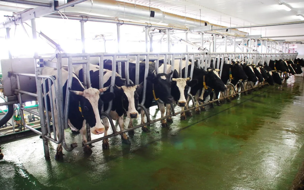 Главные новости Ижевска на 24 декабря: смерть на работе и 57 самосвалов снега