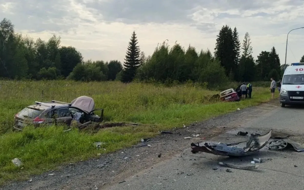 Трое взрослых и два ребенка пострадали на трассе в Удмуртии