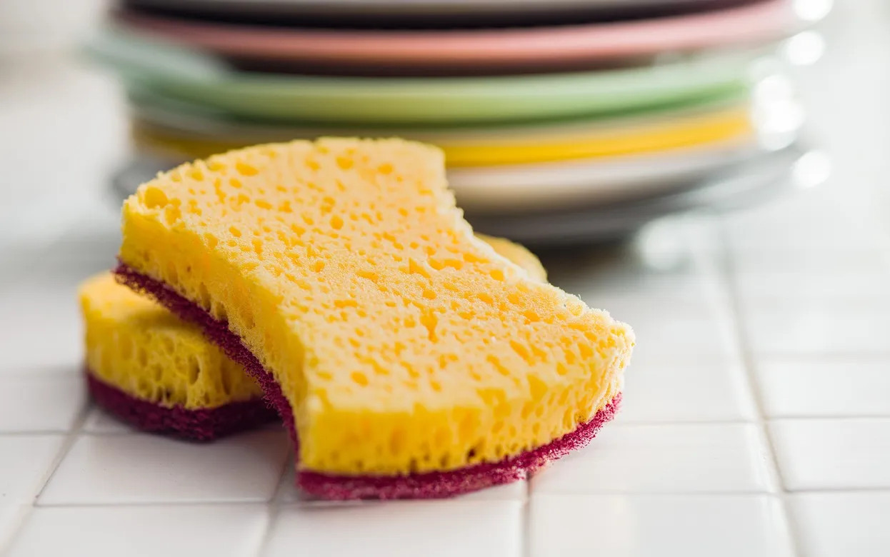 Дачники режут старые губки и закапывают их в землю: агрономы в шоке, а урожай удваивается