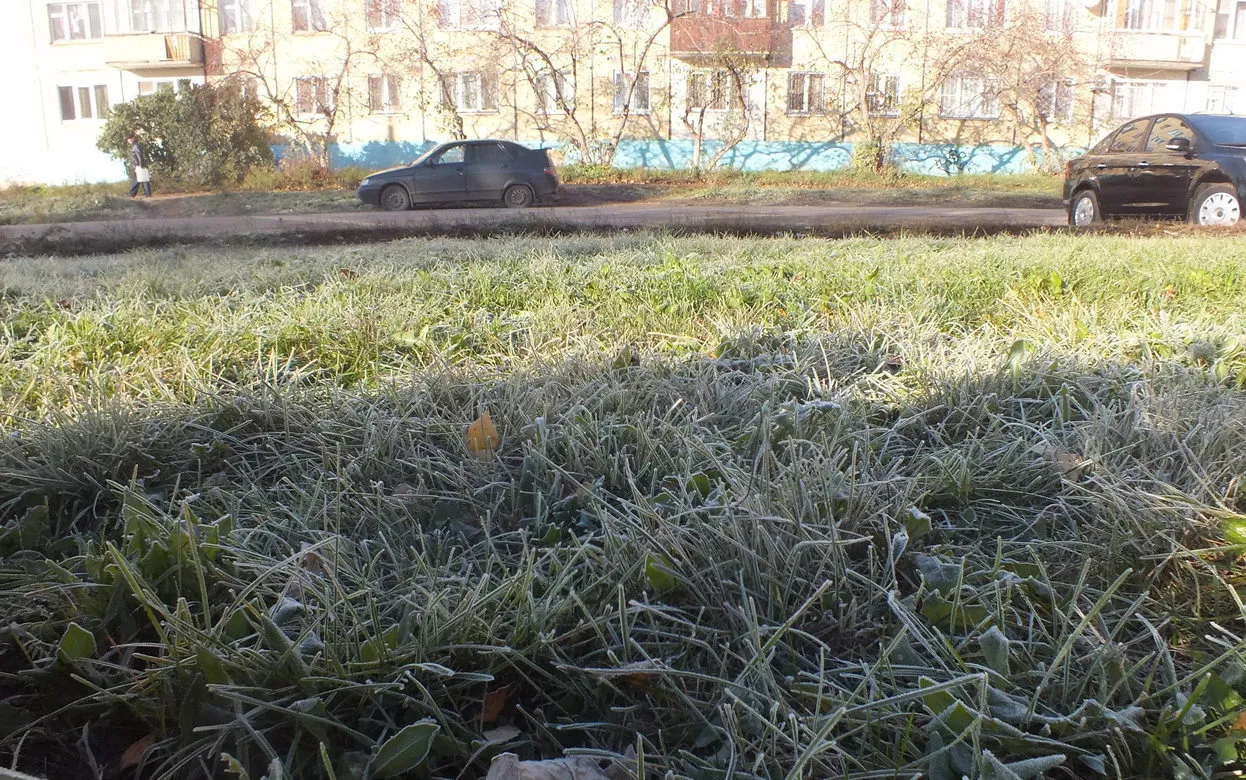 Вероятность ночных заморозков сохраняется в Удмуртии