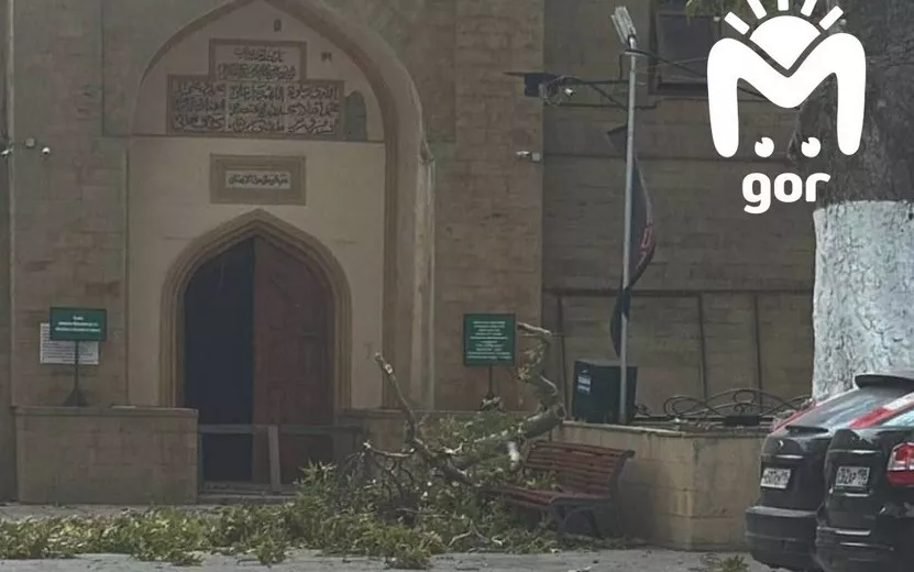 Туристка погибла под упавшим деревом в Дагестане