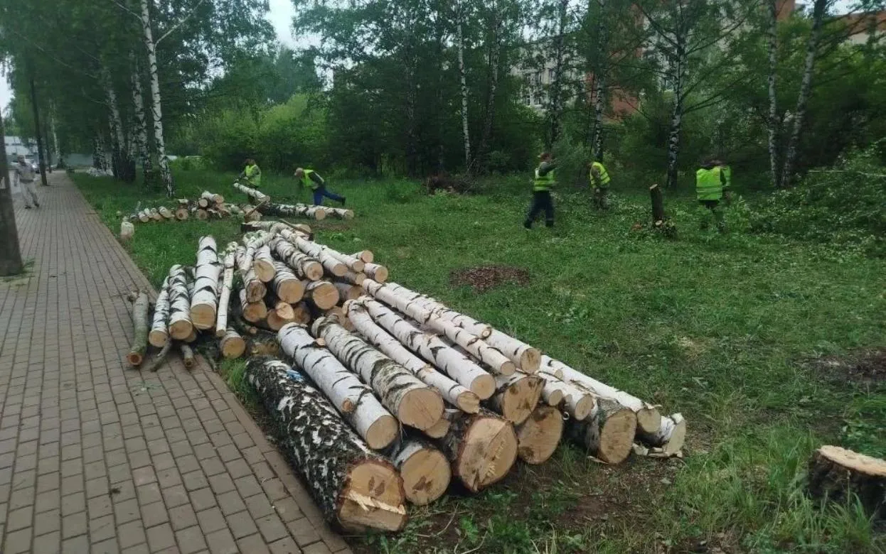 Деревья вырубили на месте будущего модульного отделения ГКБ № 6 в Ижевске