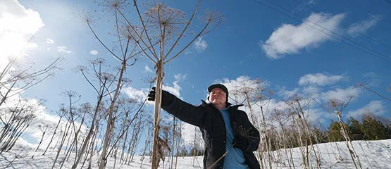 Почему ижевчанин начал бороться с борщевиком и защищать Ярушкинский дендропарк