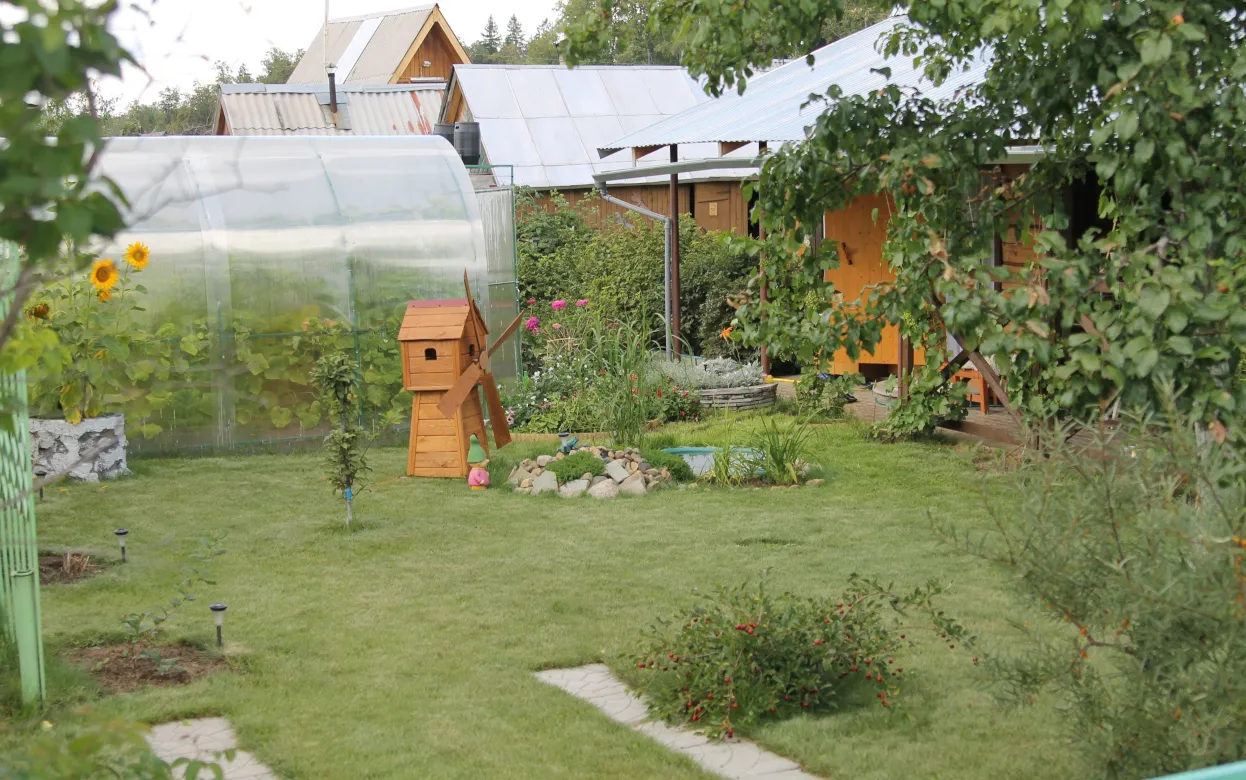 Можно ли мыть машину и готовить шашлык: за что дачников могут оштрафовать в 2026 году