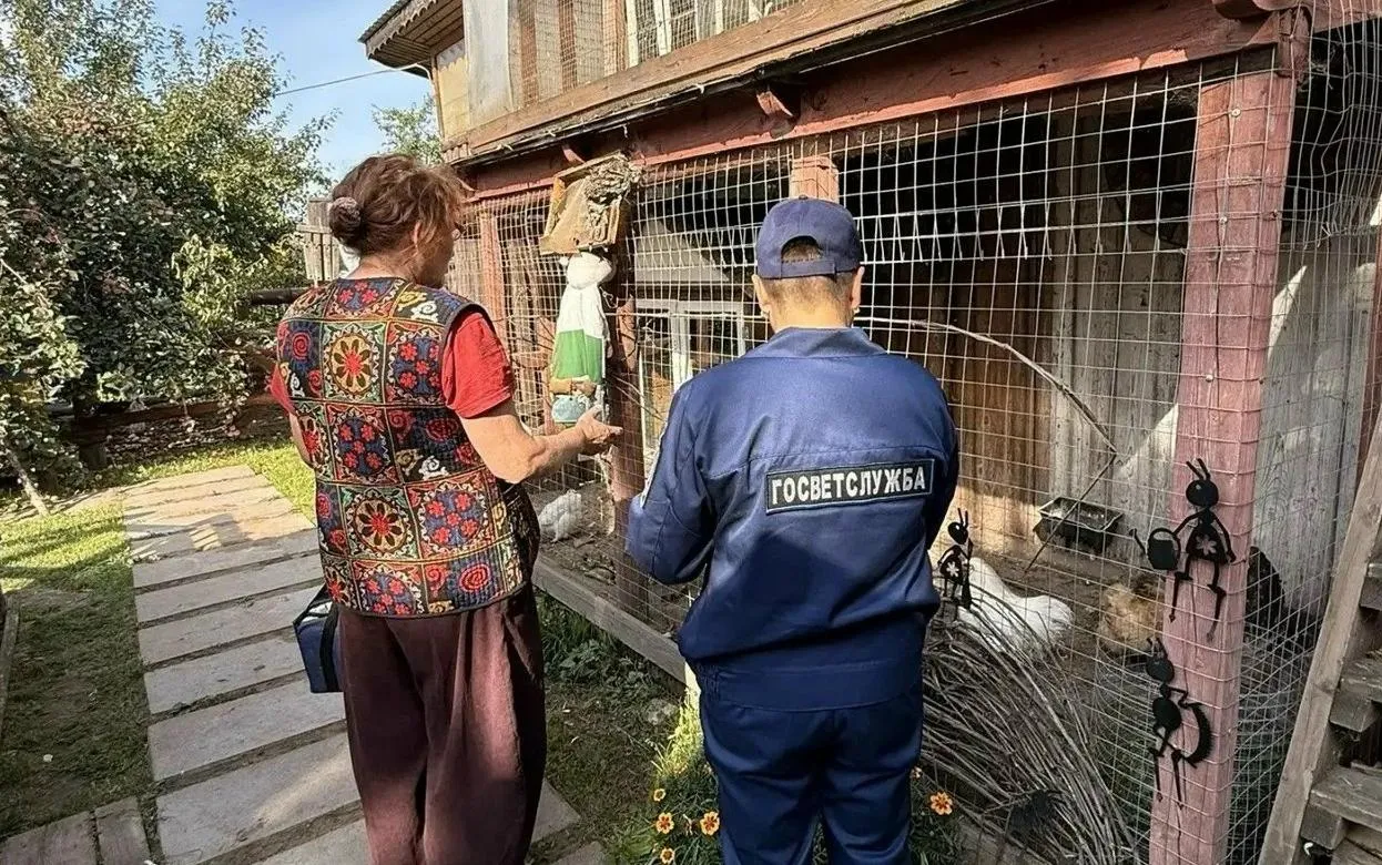 Главные новости Ижевска на 3 сентября: гибель животных и планы на садик