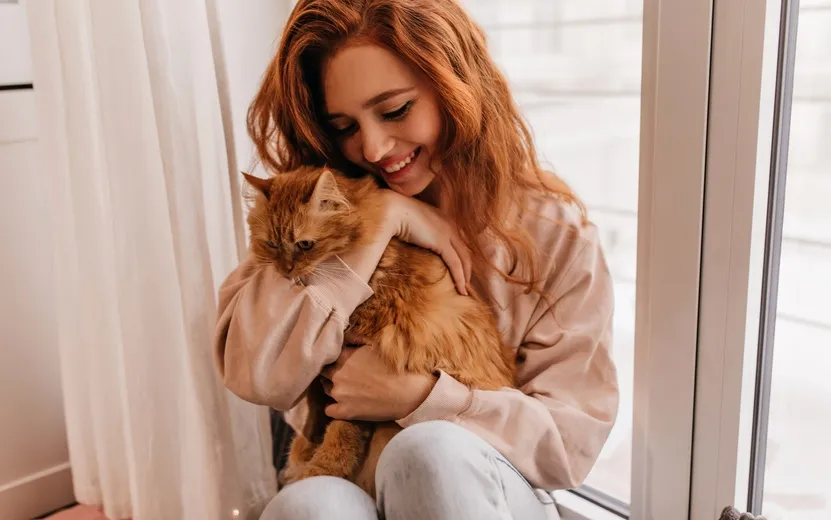 Из приюта – в семью: как собаки и кошки находят свой дом