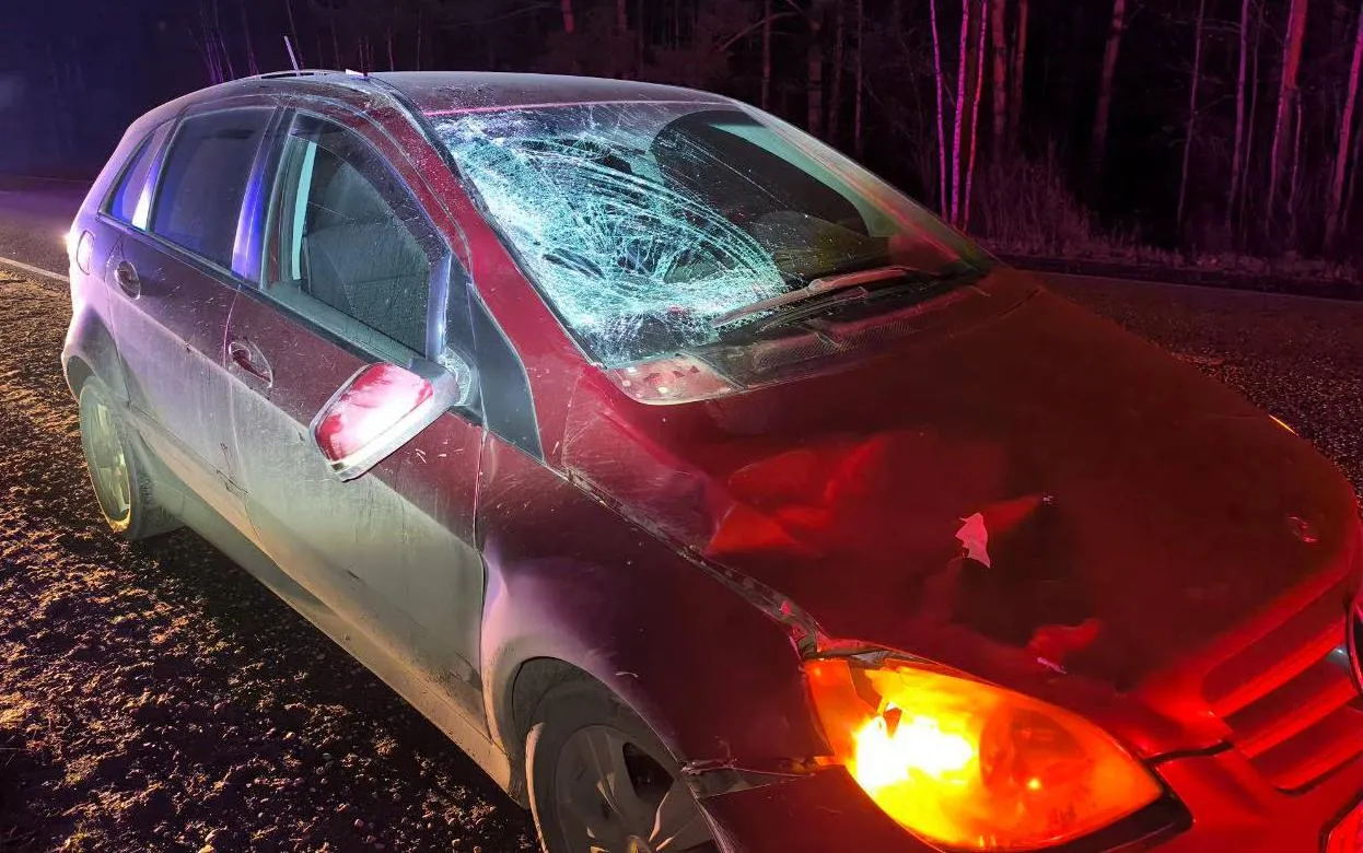 Mercedes насмерть сбил пенсионера на трассе Ижевск – Воткинск