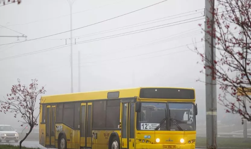 Погода в Ижевске на день: 19 июня ждем дождь с грозами и до +29°С