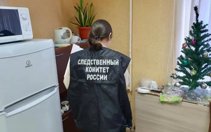 Пенсионерку осудят в Ижевске за убийство мужа в новогоднюю ночь