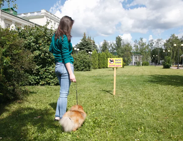 Сергей Грачёв