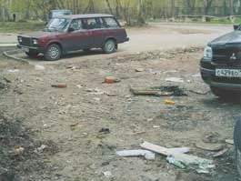 Е. Шайдурова. Свалка на ул. Пушкинской