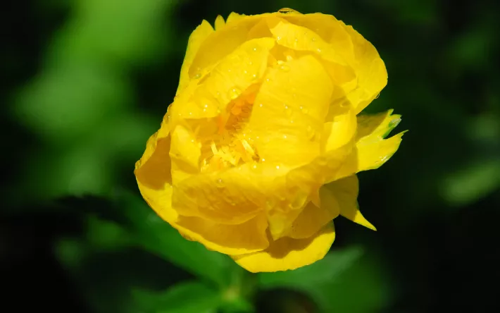 Гороскоп на 2 мая: Овнам лучше отказаться от важных встреч, а Рыбам сохранить спокойствие своего омута