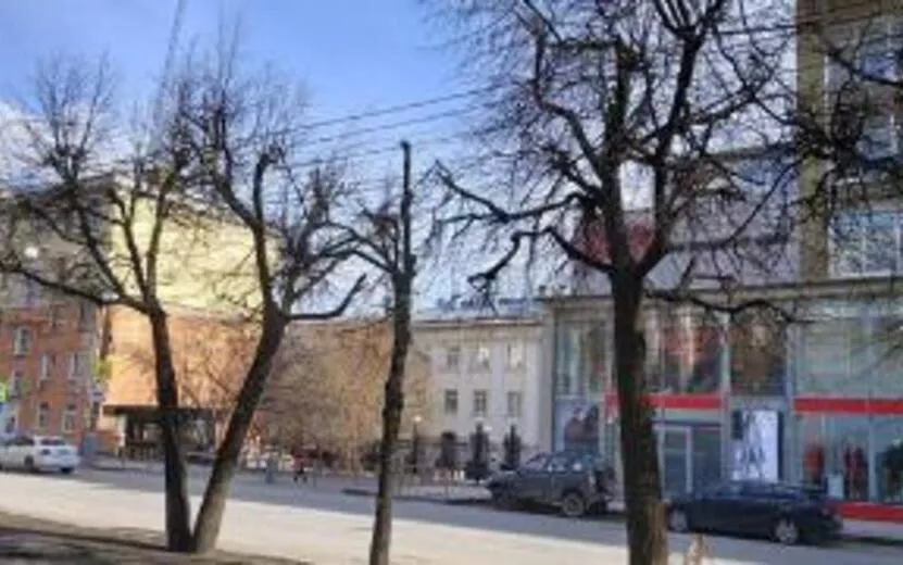 Тротуар и деревья на улице Советской в Ижевске обновят до сентября