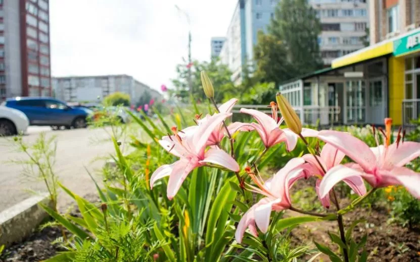 Погода в Ижевске на выходные: солнце, жара и до +25°С — лето вступает в полную силу