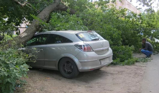 автора, Анастасии Малышевой